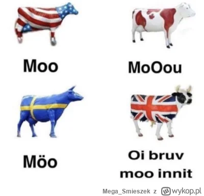 Mega_Smieszek - oi

#uk