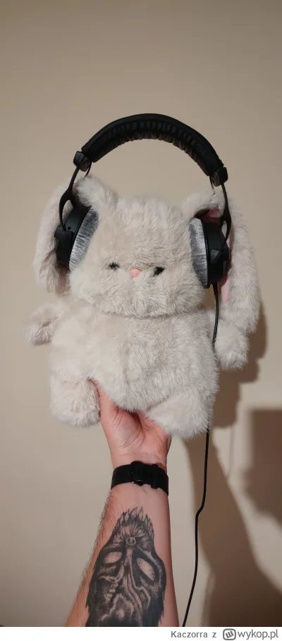 Kaczorra - Kolego @cukru, dziękuję za rady odnośnie słuchawek. Kupiłem DT770 PRO 80 o...