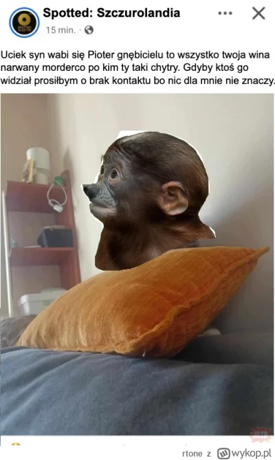 rtone - #konkursnanajbardziejgownianymemznosaczem #sprawiedliwarzeczywistosc