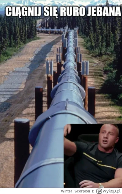 Winter_Scorpion - @paniswiata: ( ͡° ͜ʖ ͡°)