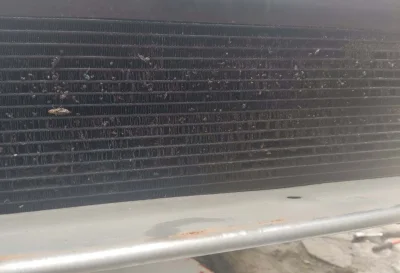 jmuhha - Ktoś mi wytłumaczy  jak w 2004 chłodnice aut były pełne owadów, a dzisiaj pa...