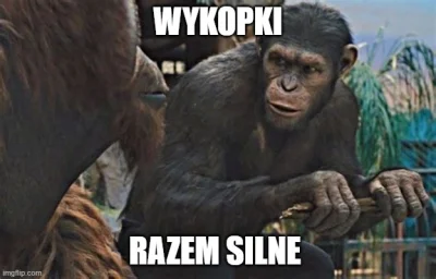 Szarodziej - Dobra, skoro została godzina do akcji to musimy ustalić pewne reguły zgł...