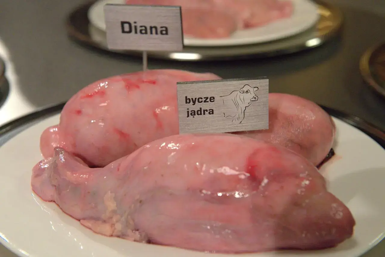 Pioter_Polanski - Ale co jest nie tak z krowimi jajami? ChatGPT nie takie błędy popeł...