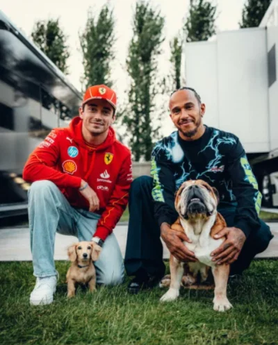 kizalfon - Wielkość piesków symbolizuje talent i umiejętności ich właścicieli. 
#f1