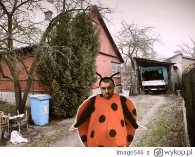 Image546 - @oleista_palma: