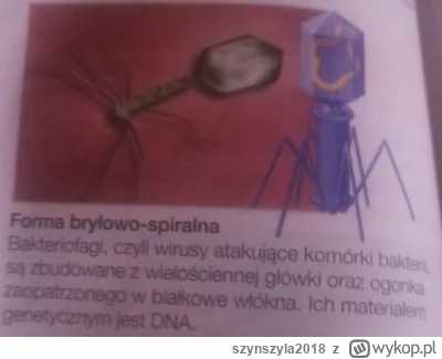 szynszyla2018 - @lavinka: w sumie racja to bakteriofag. Łapcie wykop bawi i uczy ( ͡°...