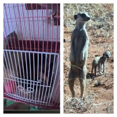 mr-klapek - @dizel81: oby odpowiedział za swoje  okrucieństwa w związku z nimi !!!