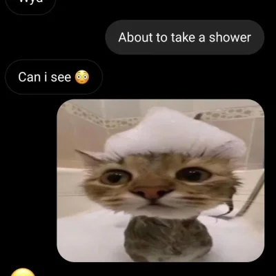 paczelok - #paczekot