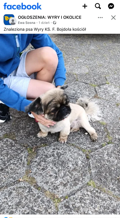 Wubwub - ( ͡º ͜ʖ͡º) #fredikamionka #psy #heheszki