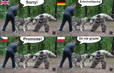 i.....t - ( ͡° ͜ʖ ͡°) #heheszki #memy #bekazpsiarzy #psy #psiarze