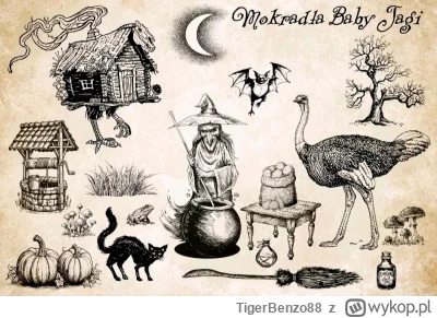 TigerBenzo88 - #szkolnafantasy                                                       ...