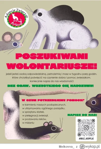 Melkovva_ - #bydgoszcz #zwierzaczki #wolontariat #wykopefekt #arbuzadopcje