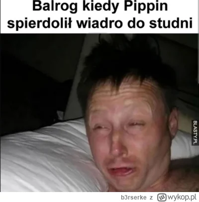 b3rserke - #wladcapierscieni