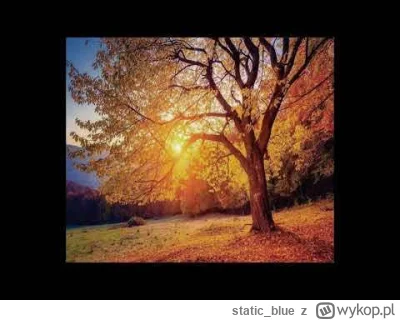 static_blue - Vincent De Moor - Mystique Colors
#trance #muzyka #muzykaelektroniczna