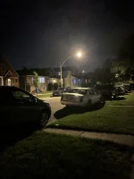 fsfdjf - spacer typu psiur się boi a ja odważna bo popiłam z sąsiadami