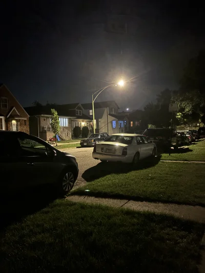 fsfdjf - spacer typu psiur się boi a ja odważna bo popiłam z sąsiadami