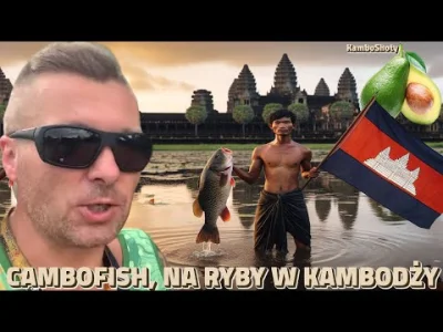 pelt - ⭐️ Dzisiejsze KamboShoty na YouTube i Odysee:
 ● YouTube / Odysee ▶ CamboLife ...