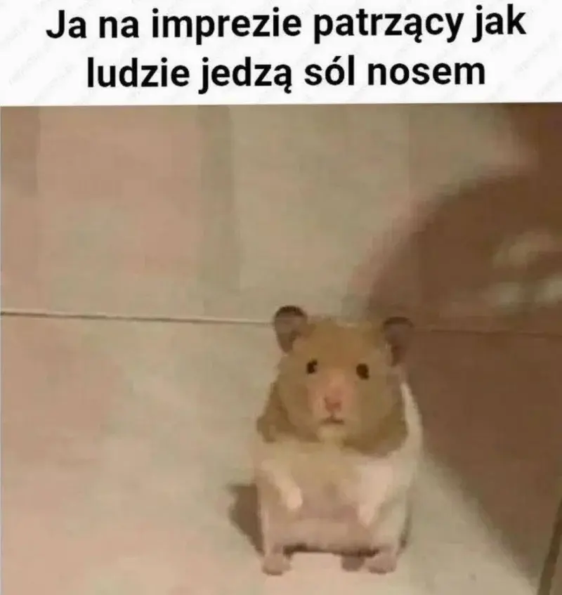 RitmoXL - @CPerez11: ( ͡° ͜ʖ ͡°)