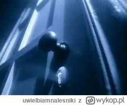 uwielbiamnalesniki - @bo-banley: gimby nie znajo