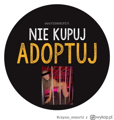 Krzysio_misio12 - #famemma