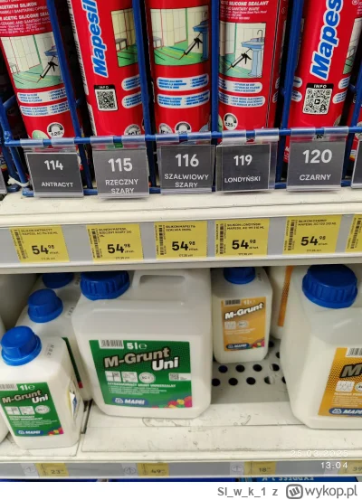 Slwk_1 - Pomyślałem wymienię silikony w łazience bo już takie nieładne.
Poszedłem do ...