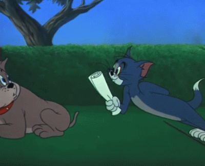 bizzi0801 - @alljanuszx: