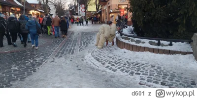 d601 - #zakopane #afera 
Kiedyś byłem i też zrobiłem zdjęcie temu typowi. Nie płaciłe...