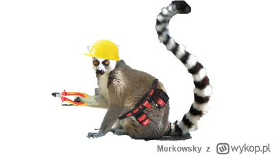 Merkowsky - @KjatanSveisson