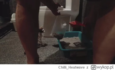 Chilli_Heatwave - #raportzpanstwasrodka
Absolute cinematic