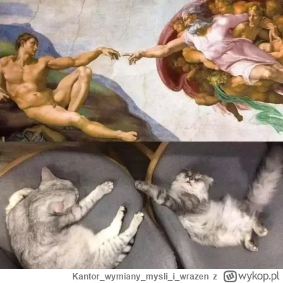 Kantorwymianymysliiwrazen - @yosemitesam: ¯\(ツ)/¯