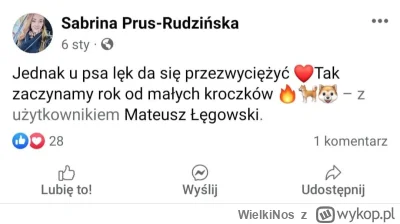 WielkiNos - >jak można być takim debilem żeby mieć rasę psa która regularnie atakuje ...