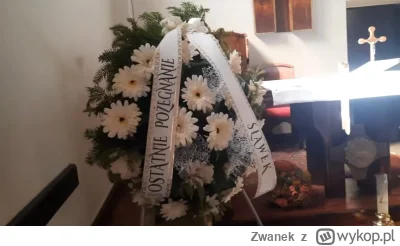 Zwanek - Coś jak tabliczka "sfinansowano ze środków UE"
#kononowicz #patostreamy