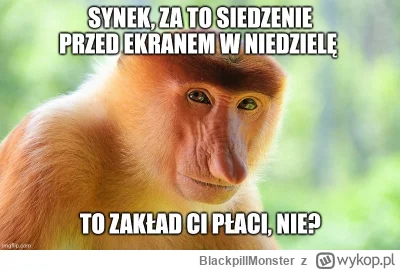 BlackpillMonster - #programista15k #programowanie #pracait #korposwiat