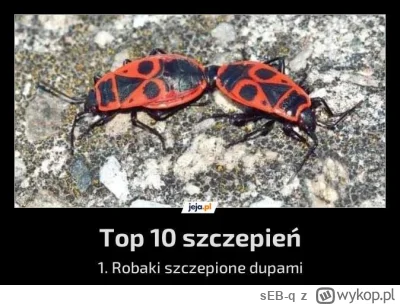 sEB-q - @Gienek-Kielbasa: Inspirowane przez naturę.