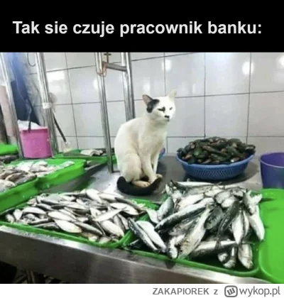 ZAKAPIOREK