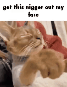 dywergent - kolejny co nie odpisuje na bardzo konkretne i precyzyjne wiadomosci email