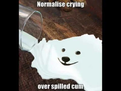 NiBBonacci - @frugASS: