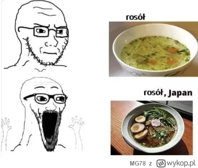 MG78 - 320 stron napisałem o japońskim rosole ( ͡° ͜ʖ ͡°) i będzie na nich też o tym ...