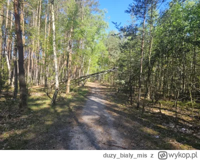 duzybialymis - @duzybialymis fajne warunki, chłodno, natura(｡◕‿‿◕｡)