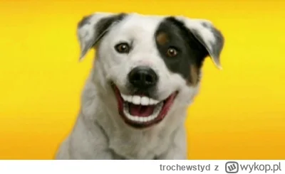 trochewstyd - #rolnikszukazony