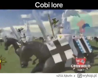 vZGLSjkzfn - #napierala