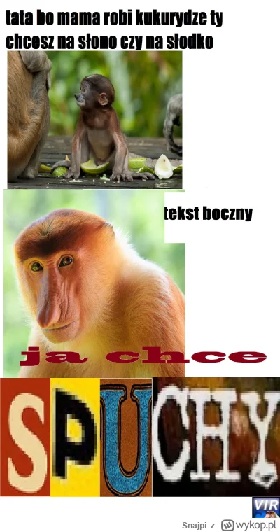 Snajpi - I tak się kręci wir na tej wsi...
#konkursnanajbardziejgownianymemznosaczem