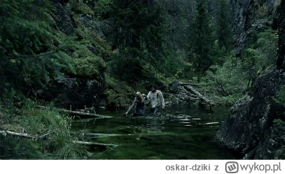oskar-dziki - Dziś domykamy sobie trylogię norweskich slasherów znanych u nas jako "H...