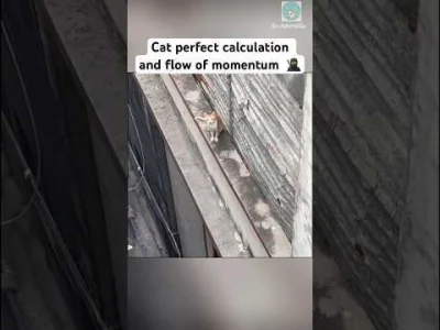 Emerald84 - #trzecieoko #smiesznykotek