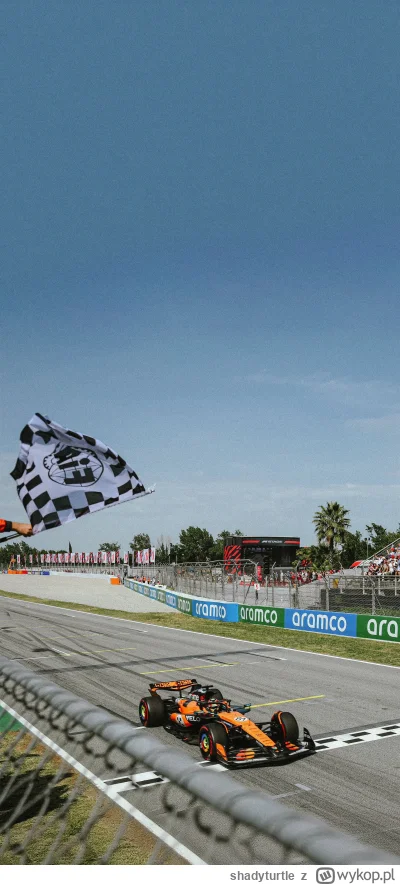 shadyturtle - #f1 renka Roberta na tapetę w telefonie