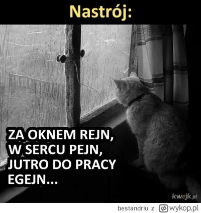 b.....u - #neet #pracbaza