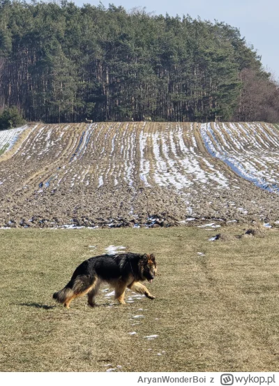 AryanWonderBoi - Mistrz pierwszego planu i mistrzynie drugiego (｡◕‿‿◕｡)

#spierdotrip...