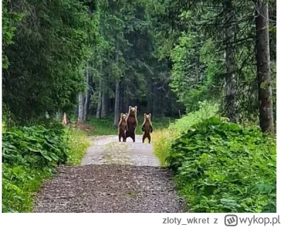 zloty_wkret - Jest jakiś przepis w polskim prawie albo punkt w regulaminie Tatrzański...