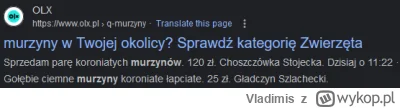 Vladimis - @Fortyk: Wanna murzyny kupić? ( ͡° ͜ʖ ͡°)