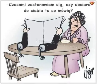 wfyokyga - Humor 2
#humor #grazynacore
